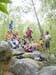 48- les familles groseilles