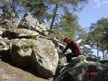 Fontainebleau 2005 043