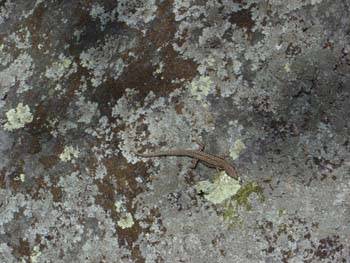 Font.Bleau_05-2007 110