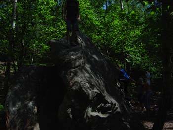 Font.bleau_05-2007 052
